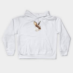 Rhodey Kids Hoodie